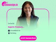 Experte Treasury (m/w/d) - Nürnberg