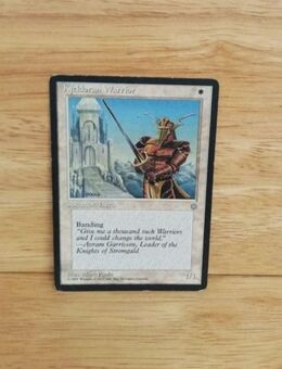 Magic The Gathering-Kjeldoran Warrior - Nörvenich