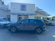 VW Tiguan, 2.0 TDI ACTIVE an, Jahr 2022 - Pasewalk