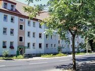 Helle 3-Raum-Wohnung mit Balkon in guter Lage - Oschatz