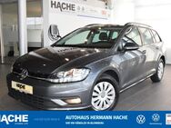 VW Golf Variant, 1.6 TDI Golf 7 Trendline, Jahr 2019 - Blomberg (Nordrhein-Westfalen)