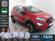 Ford EcoSport 1.0 EcoB ACTIVE (AHK+LED+BLIS+Kamera) - Premnitz