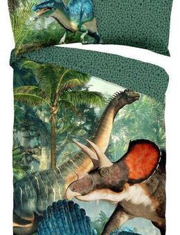 good morning Kinderbettwäsche Jurassic, Renforcé, 2 teilig, Baumwolle, 135x200, Reißverschluss, Wendeoptik, Kind, Dino, Junge