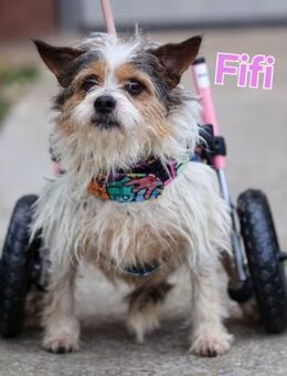 ❤️ Fifi, zauberhaftes Handicap Mädchen - Kissing