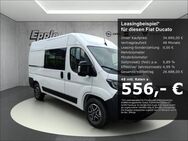 Fiat Ducato, DOKA 35 L2H2 Vorb Berganfahrass, Jahr 2023 - Rutesheim