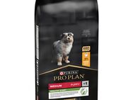 PURINA PRO PLAN Medium Puppy Healthy Start - Sparpaket: 2 x 12 kg