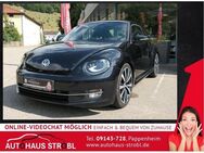 VW Beetle 2.0 TDI Sport - Pappenheim