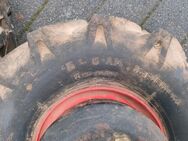 Hako Variorette Acker Reifen mit Gewichten - Büdingen