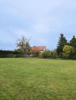 Gepflegtes Einfamilienhaus mit großem Garten in Schöppenstedt! - Schöppenstedt