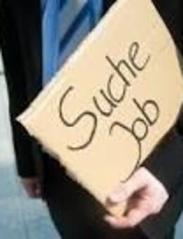 Ich suche dringend Arbeit in Hamburg als Fahrer bis 3,5 t oder Lagerhelfer - Hamburg