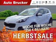 Kia Sportage, 1.6 Edition 7 el Fensterheber, Jahr 2017 - Marktredwitz