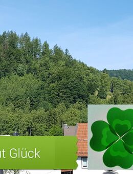 Ferienwohnung,-haus "Auf gut Glück" Lautenthal Harz, Privat - Langelsheim