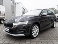 Skoda Octavia, 2.0 TSI C SCOUT 4xSHZ FLA, Jahr 2021 - Schenefeld (Landkreis Pinneberg)