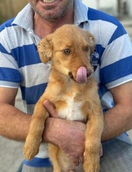 MATTEO - allein unterwegs mit Marc...... - Kempen