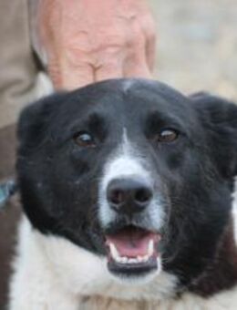 Aria - perfekt für Familie mit Kindern - Lohra