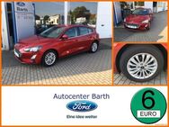 Ford Focus 1.0 EcoBoost Mild-Hybrid S/S Titanium LM - Grimmen