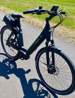 Tenways AGO T, E- Bike Riemenantrieb, 504 Wh, Motor 80 Nm - Bruchköbel