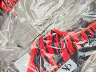 Calvin Klein String verschiedene Farben... - Frankfurt (Main)