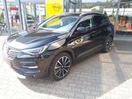 Opel Grandland, Ultimate Plug-in-Hybrid 4 Sitz-Kühlung, Jahr 2020 - Gräfenhainichen