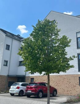 Schöne 2-Zi.-Wohnung mit Aufzug und Balkon in zentraler Wohnlage! - Elsenfeld