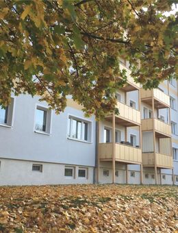 Ankommen*Daheim sein*Wohlfühlen* helle 3R WG mit Balkon *Erstbezug* - Chemnitz