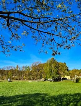 Viel Platz in ländlicher Idylle! - Steinigtwolmsdorf