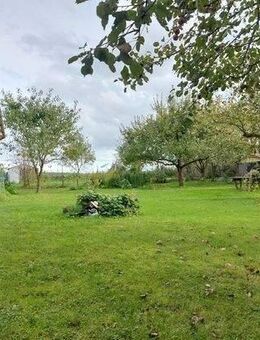 Neubau, Reihenendhaus in ruhiger Lage in Borchen-Dörenhagen ! - Borchen