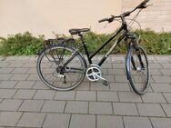 Damenfahrrad - Bad Iburg