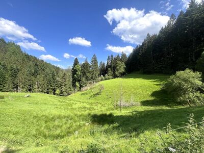 Attraktives Hofgut mit 2 großen Wohn- und Ökonomiegebäuden in traumhafter, sonniger Panorama Alleinlage