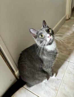 Messy - von der Autobahn - Kirchheim (München)