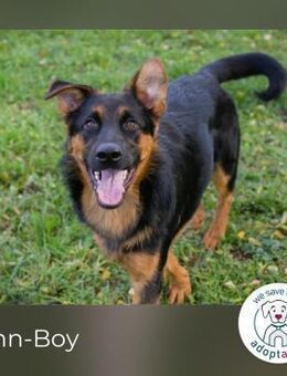 John-Boy: Freundlicher Charmeur - Kirchzell