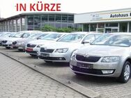 Skoda Fabia Ambition - Guben