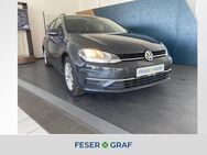 VW Golf Variant, 2.0 TDI Golf VII Comfortline ErgoAc, Jahr 2019 - Köthen (Anhalt)