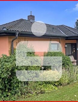 Hier finden Sie Ihr neues Zuhause! - Kupferberg