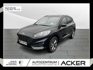 Ford Kuga, 2.5 ST-Line X, Jahr 2024 - Bad Berleburg