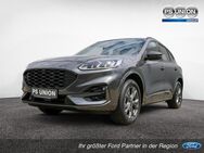 Ford Kuga, 2.5 ST-Line, Jahr 2022 - Halle (Saale)