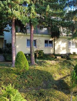 Flachdach-Einfamilenhaus mit Einliegerwohnung in Stilvoller Lage mit traumhaftem Panoramablick - Hösbach