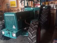 Hanomag 901 Allrad Traktor sehr guter Zustand - Malgersdorf