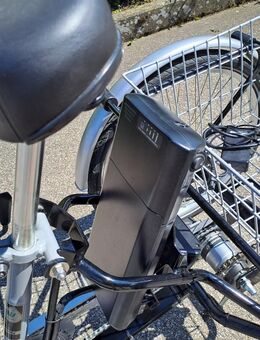 3-Rad E-Bike v.Pfautec - Bodolz