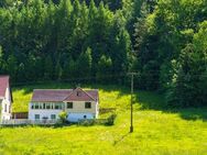 Wohnen in (fast) Alleinlage mit 1 Hektar Wald & Wiese - Naturnahes Einfamilienhaus zur Sanierung - Langenorla