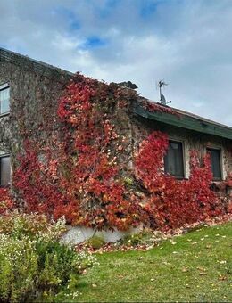 Mehr Platz, mehr Möglichkeiten: Einfamilienhaus mit separater Wohneinheit und großem Garten - Schopfloch (Bayern)