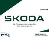 Skoda Octavia, COMBI TDI COLUMBUS, Jahr 2019 - Nordhausen