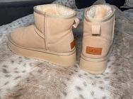 Ugg Boots 38 Beige - Duisburg