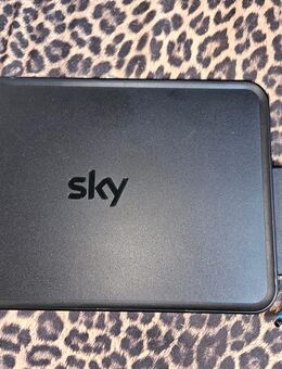 Verkaufe einen Sky receiver - Hettstedt