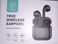 Ear Pods - Neuss