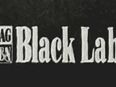Verkaufe Bücher von Black  Label (Schlagzeilen) in 63110