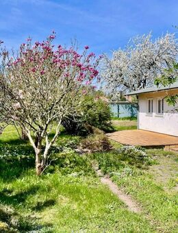 Zwei Bungalows auf großzügigem Grundstück - ideal für Wohnen, Ferienvermietung oder Gewerbe! - Heidenau (Sachsen)