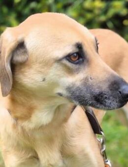 Daniela plötzlich ist man Zuhause - Kissing