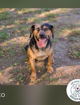 Nico: Fröhlicher Entdecker - Kirchzell