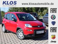 Fiat Panda, 1.0 HYBRID GSE 70PS CITY PAKET, Jahr 2024 - Marpingen